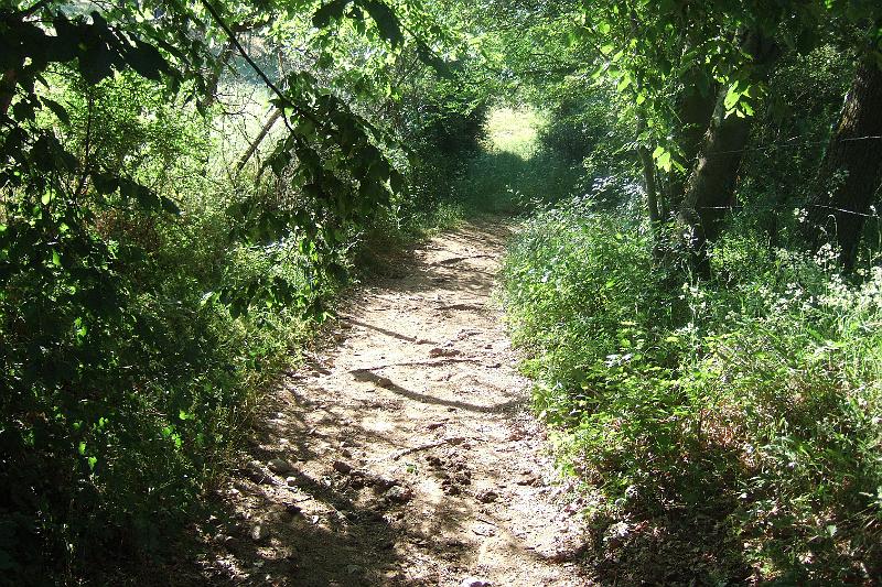 2011-05- (239).JPG